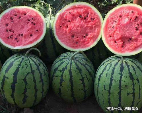 吃瓜全文阅读,揭秘娱乐圈背后的真相与秘密