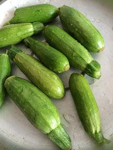 小瓜可以吃吗,美味还是禁忌？探究其食用安全与营养价值