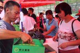 河源最新吃瓜,揭秘背后惊人真相