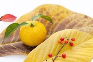 柚子在线吃瓜,揭秘网络热点的幕后故事