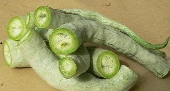 蛇瓜吃啥,揭秘蛇瓜的多样食法与搭配