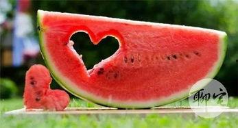 吃瓜宅,揭秘网络时代的娱乐盛宴