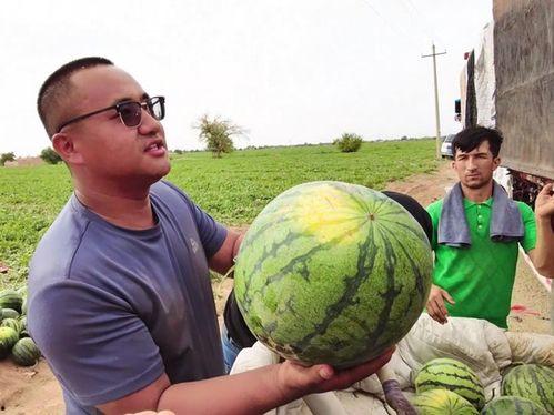 阿木吃瓜,揭秘娱乐圈背后的那些事儿