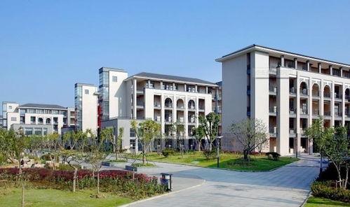 职教园吃瓜,揭秘校园生活点滴