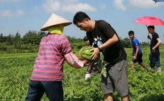 小琼吃瓜群众,揭秘娱乐圈幕后故事