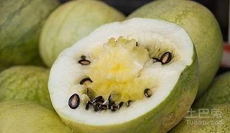 大子瓜怎么吃,探索美味与营养的完美结合