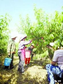 假扮大树旁边吃瓜