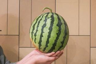 做各种吃瓜视频,揭秘热门吃瓜视频背后的故事  第2张