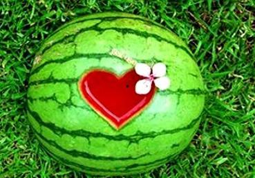 梦见吃瓜周公,揭秘梦中吃瓜的寓意与象征  第1张