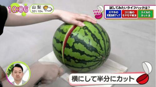 吃瓜本瓜网友,揭秘网络热议背后的真相与笑料  第2张