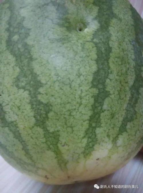 吃瓜本瓜网友,揭秘网络热议背后的真相与笑料  第3张