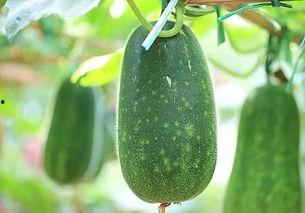 520吃瓜热榜  第2张