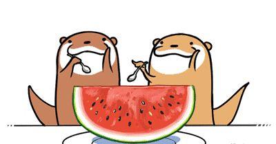 梦见熟人送长瓜吃  第1张