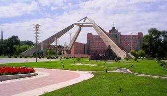 佳木斯大学吃瓜,吃瓜群众的味蕾盛宴  第2张