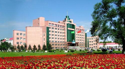 佳木斯大学吃瓜,吃瓜群众的味蕾盛宴  第3张