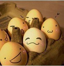 吃瓜会变傻,揭秘吃瓜是否会变傻的真相  第1张