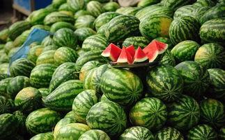 吃瓜会变傻,揭秘吃瓜是否会变傻的真相  第2张