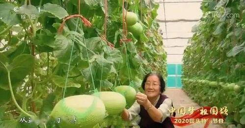 湖北最新吃瓜事件,揭秘XX事件背后的真相与争议