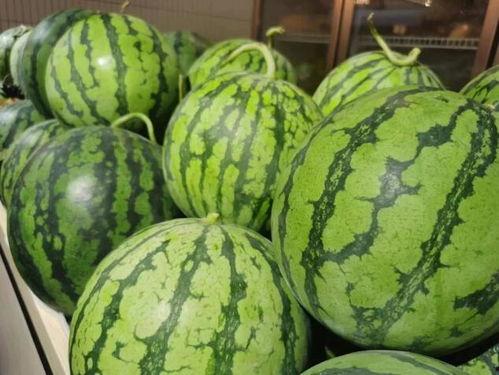 吃瓜流懒器  第1张