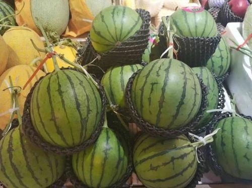 吃瓜流懒器  第2张