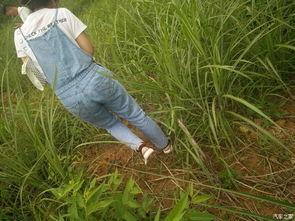 坐在凳子吃瓜,悠然品瓜趣  第3张