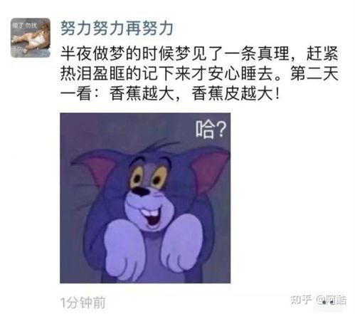 可笑的吃瓜人图片,那些年我们一起笑过的瞬间  第1张