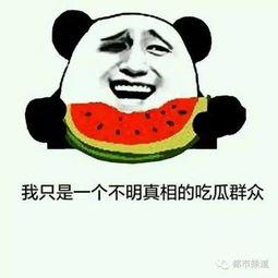 吃蜜不吃瓜意思,吃蜜不吃瓜的智慧生活  第2张