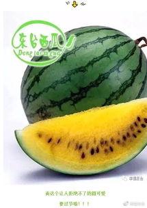 全瓜怎么吃  第2张